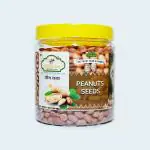 NATRAM Peanut 500gm