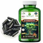 Sovata Micronutrients Fertilizer Capsules (51 no's), Slow Release Organic Nutrients for Overall Healthy Growth of Plants.