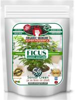 Sansar Green Ficus Magic Mixture Manure (0.9 kg, Powder)