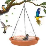 BIRDSHALA Hanging Bird Feeder for Water & Seed Bird Bath Trey for Hanging on Your Balcony, Trees, Garden (1)