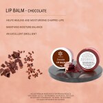 NATUUR - Chocolate Lip Balm - 15g | Nourishes and Hydrates Lips | Chemical-Free Formula | Suitable for All Skin Types | With Moisturing properties, Improve Skin Tone I Prepared with natural plant butters - shea and cocoa