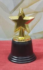 JJH Gold Fiber Mini Star Trophy, 4.5 X 2.5 X2.5 Inch