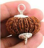 Feel Touch Mart 21 Mukhi Rudraksha Precious Nepal Brown Bead Original Certified 27mm-35mm Natural Rudraksha Pure Ekkis Mukhi Rudraksha by