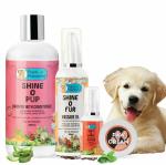 Papa Pawsome Pamper puppy spa kit