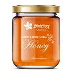 Divinity Organics | Jamun & Neem ( Mono Floral Raw Honey ) 500g