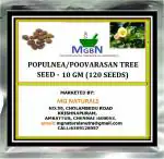 MGBN THE PATH FOR THE HEALTHIER LIFE WITH BEAUTY Parasapeepala, Thespesia Populnea, Poovarasan Tree Seed - 10 g (120 Seeds)