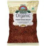 Health Fields Organic Finger Millet (Ragi Millet) - 1Kg