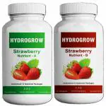 Garden Genie Hydro Grow A & B Strawberry Nutrients (2 Part Nutrients) Advance Nutrients Package for Strawberry, 500 ml Each