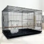 PetJoy Black Iron Bird Cage with Feeding Cup, 1 Pole with Secure Lock, 24 Inch Bird, Hamster, Rabbit Cage