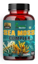 Humming Herbs Sea Moss Complex - 3 in 1 Formula, 2600MG - Organic Irish Moss Powder, Bladderwrack, Organic Burdock Root Extract - 60 cap