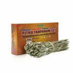 Giri Amavasya - Sankramana - Grahana - Shraddha - Pitru Tarpana Set| Iyer/ 16 Pieces/ for Rituals