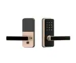 Godrej Locking Solutions and Systems Smart Locks I Catus Touch I Smart Digital Lock for Wooden Door I 2 in 1 Access I PIN Access I Mechanical Key I Rose Gold Finish I 3 Years Warranty