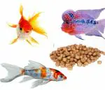 Colourful - Hi Protein & Fiber Fish Food for All Types of Aquarium Fish (4mm Large, 1800g)