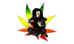 Divinedesigns Multicolor Vinyl Bob Marley Sticker