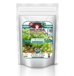 Sansar Green Coriander Potting Mixture, Essential Super Powerful Organic Soil Mixture for Coriander Plants with Active Micro Organism and ++ Growth Booster Potting Mixture (10 kg, Powder)