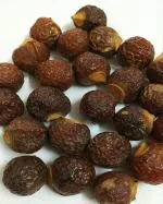 SPS MARKETING Reetha 100g | Aritha | Areetha | Kunkudukaialu |Kunkudukayalu | punthi kottai