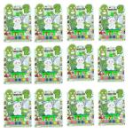 SAMVARDHAN 2 Side Dinosaur Coloring Board with 6 Painting Colors for Kids (Pack of 12)