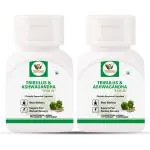 Vaddmaan Tribulus Terrestris (Gokshura) with KSM-66 Ashwagandha for Men, Male Vitality Supplement (Pack of 2)
