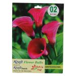 Kraft Seeds Zentedeschia Cala Lilly Flower Bulb (Pack of 1)