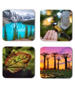 Whats Your Kick Beautiful Nature Lake And Birds Printed Set of 4 Coaster With Metal Stand