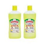 Gainda G-Kleen Disinfectant Surface Cleaner Multipurpose - (2 x 975 ml)