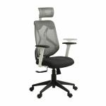 ETTOREZ Ergonomic Home & Office Chair