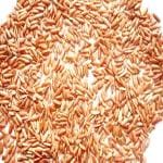 Xetomos Lal Chawal Devi Chawal Rice Red Rice 250g Other names are Sathi Chawal, Sathi Chaval, Red Rice, Santhi Chawal sathi, chawal, chaval, santhi, red, rice, Oryza sativa