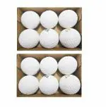 Forgesy Sports White Hockey Balls Pack of 12 Balls