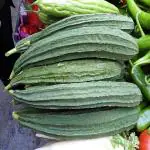 CooPany Beerakaya / Heerekayi / Ridge Gourd Vegetable Seeds (30 Seeds)