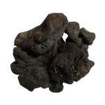 Nutrixia Mochras - Gond Mochras - Bombax Ceiba - Phool Supari 250 Gms