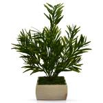 Fancy Mart Green Artificial Mini Bamboo Plant in Pot 32 x 30 cm