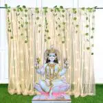 SPECIALYOU.IN Backdrop Cloth for Decoration, Home Decor Items with Peach net Curtain, Artificial Green Vines & LED Light for Diwali Backdrop, Wall Decor, Pooja Decoration Items- 10 Pcs