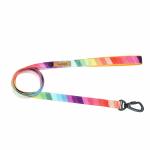 Glucklich 5 FT Heavy Duty Premium Printed Pet Leashes (S, Rainbow)