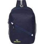 Wildbug Casual Waterproof/Office Bag/School Bag/College Bag/Unisex Travel Backpack 35 L Backpack (Blue)