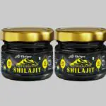 Fitsique Nutrition Himalayan Shilajit Pure Resin (30G)