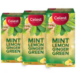 Celest Green Tea, 300 Tea Bags - Mint Lemon Ginger| Tea Bags | Green Tea