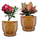 PLANTORI Ceramic Home Decor Planter Pots With Plate For Outdoor (Pack of 2, Ceramic)