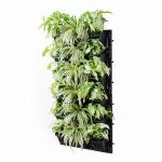 Hug A Plant Biowall Vertical Garden With Plants (Syngonium White, Chlorophytum) For Home & Garden