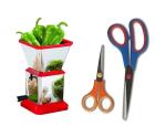 Blue Wonder Stainless Steel Chilly Cutter Cutter With Multipurpose Use Double Scissor Set and (Multicolour, Pack of 2)