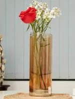 Bs amor Set of 1 Glass Cylinder Vases 8.5 Inch Modern Flower Vases for Centerpieces Room .