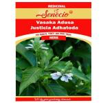 SENECIO Vasaka, Adusa, Justicia Adhatoda, Ardusi-Malabar Nut, Ayurvedic Medicinal Herb Plant Seed Pack Of 10 Seed