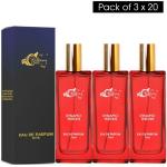 Riffway Dynamo Premium Vetiver ; Rich Long Lasting Imported Perfume For Men & Boys / Pack of 3