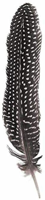 TIPTOP DECORATION Spotted Natural Dyed Black and White Large Feather Quills (Pack of 5)