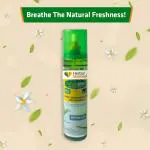 Herbal Strategi - NatureSpray Lily Aromatic Fragrance | Made With Natural Essential Oils - Room Freshner Spray Pack of 3 250 mL each