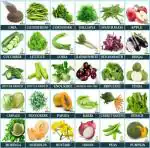 Vegetables Seeds Combo 30 Types of Hybrid Vegetables Seeds