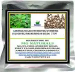 MGBN THE PATH FOR THE HEALTHIER LIFE WITH BEAUTY Gurmar, Sugar Destroyer, Gymnema Sylvestre, Sirukurinzan Seeds - 5 g Seeds (40 Seeds)
