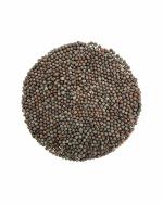 Green World Drought Resistant 28 Variety Pusa Mustard Seeds - 500 g
