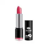 Zodak Lip Stuck Amplified Matte Lipsticks - Infused With Vitamin E - Catwalk (Pack Of 12)