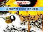 Mashki Sunflower Seeds For Gardening - 1 kg