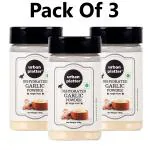 Urban Platter Dehydrated Garlic Powder, 100g (Pack Of 3)
